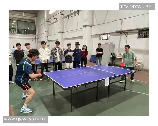 南京乒乓球队节奏引发热议球迷与专家各执己见的背后故事