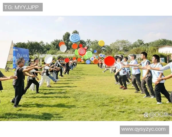 飞盘运动的崛起与挑战：探秘北京飞盘队的成功运营模式与发展策略